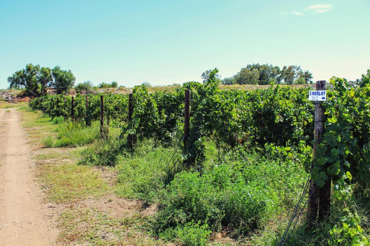 Bezalel Wine & Brandy Estate Villa Kanoneiland Eksteriør bilde