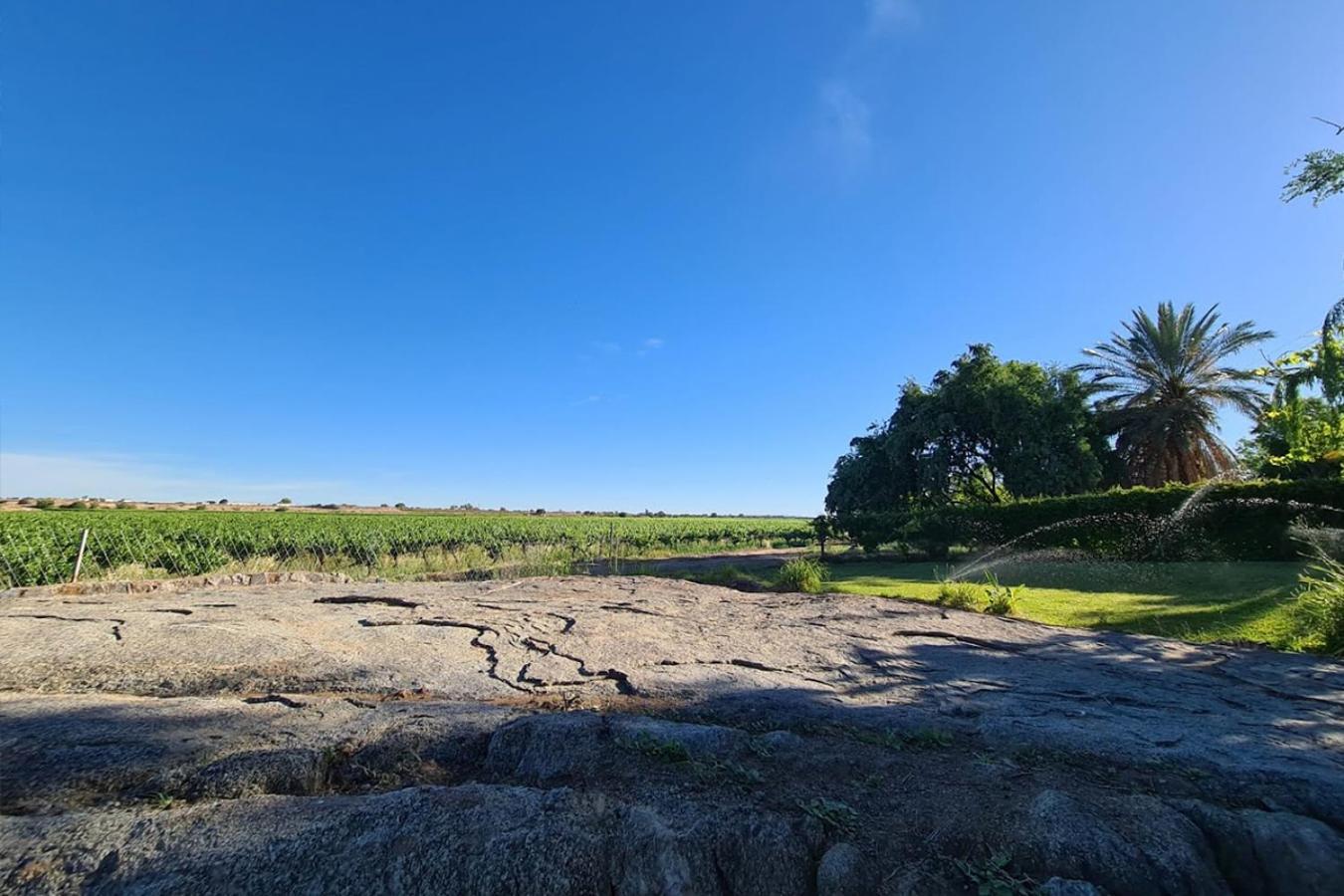 Bezalel Wine & Brandy Estate Villa Kanoneiland Eksteriør bilde